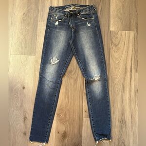 Articles of Society Distressed Skinny Jeans in Blue
